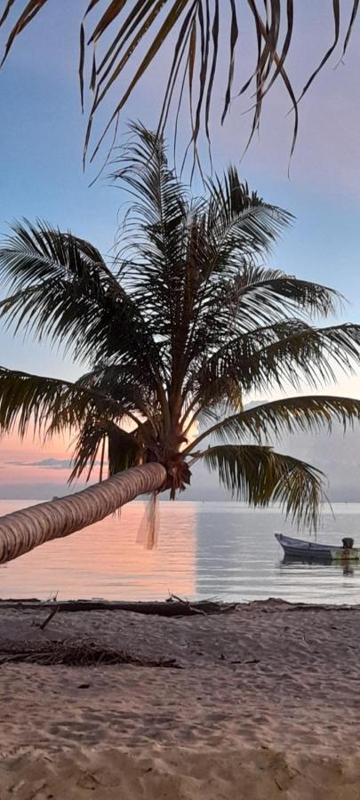 Tea Moon Beach House Thong Sala Exterior photo
